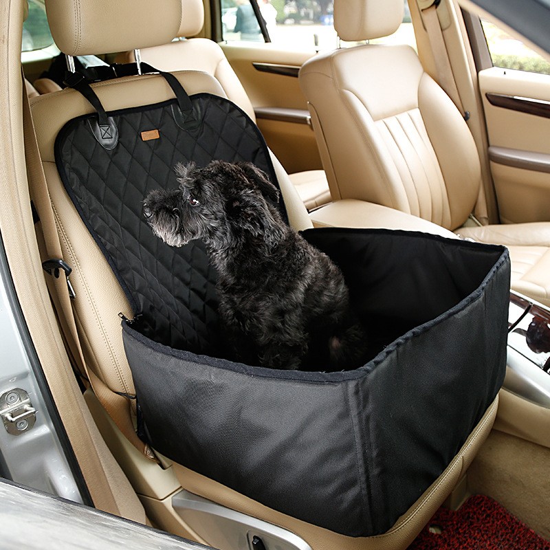 dogs car seat
