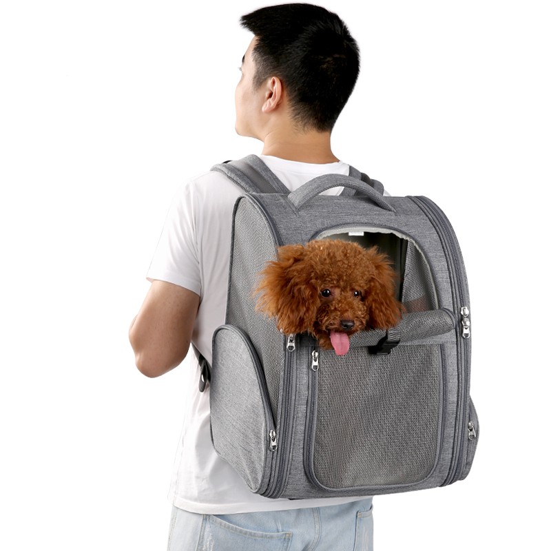 Portable Backpack for Dogs