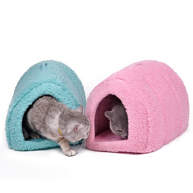 cat house and shelter