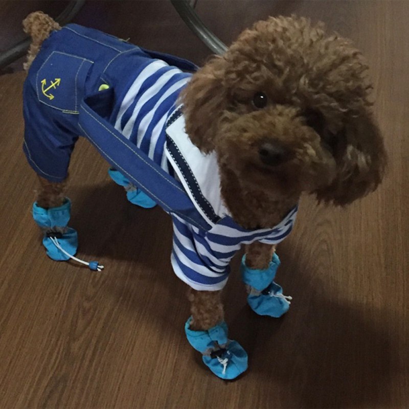 Waterproof Shoes For Dogs