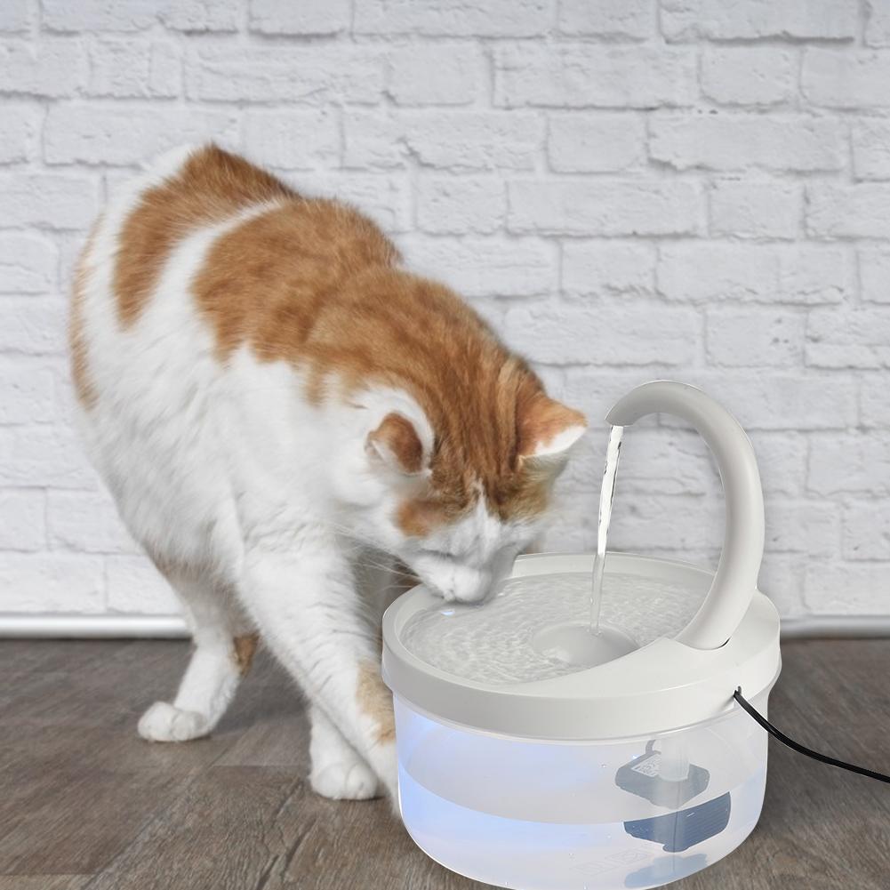 Cat Water Dispenser and fountain