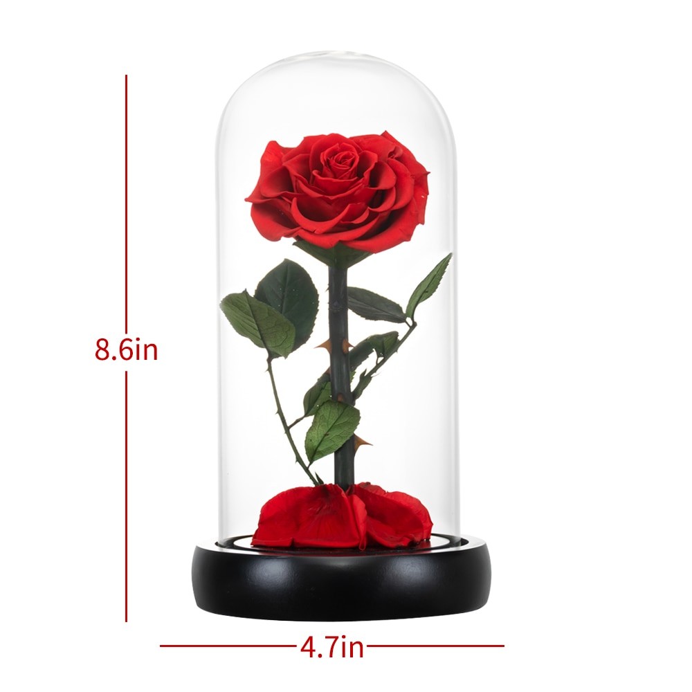 Red Eternal Roses with Light In Glass
