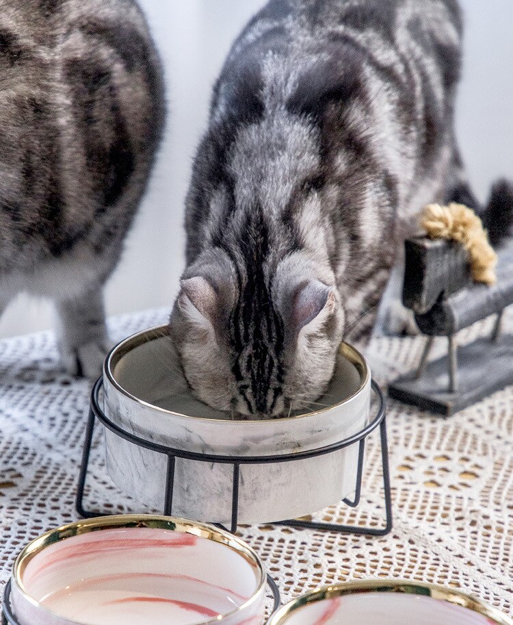 Cat's Marble Ceramic Bowl